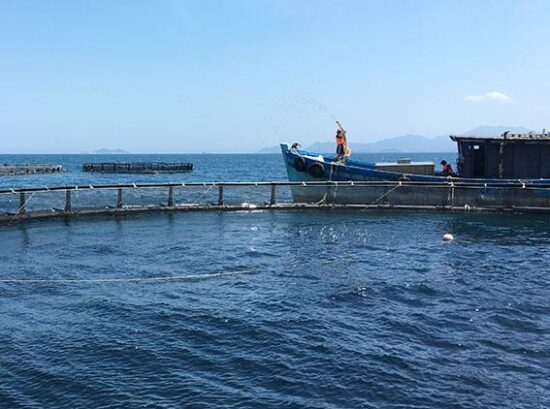 sea view of the aquaculture project