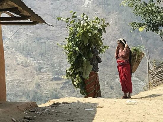 photo of Nepalese person