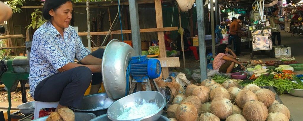 Cambodia coconut scrapper