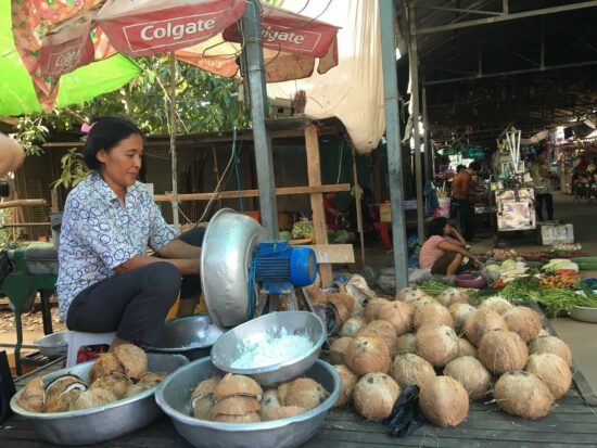 Cambodia coconut scrapper