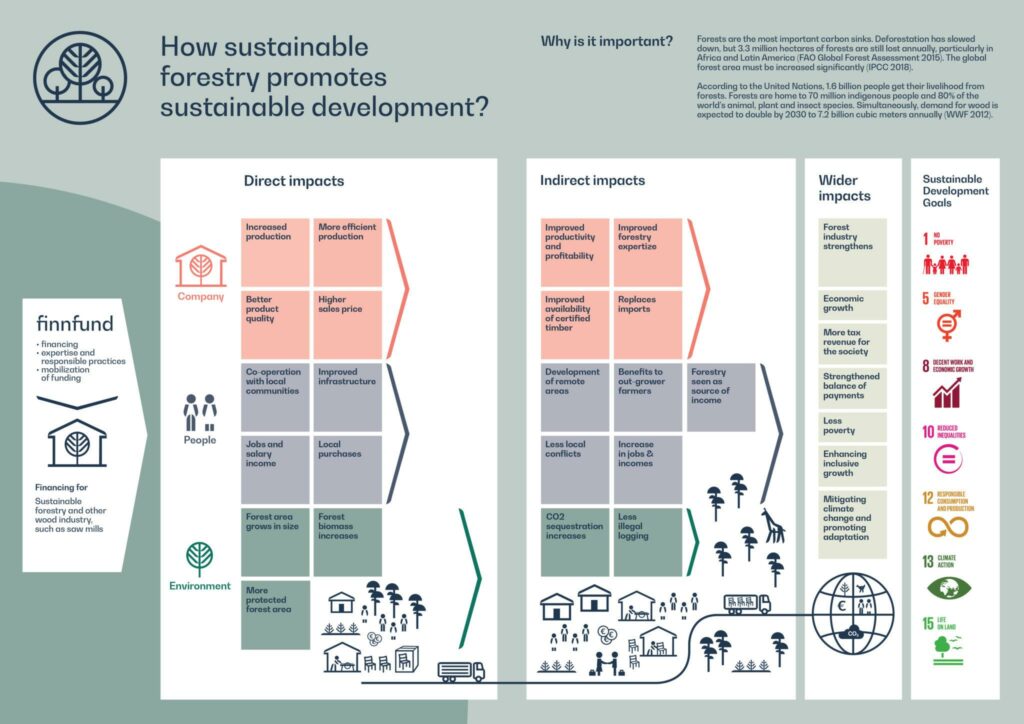 infographic on how forestry promote sustainable development