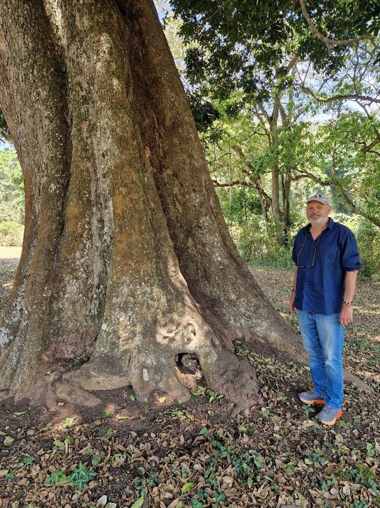 Person standing next to a large tree