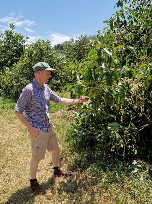 Peter Chappel standing next to an avocado tree