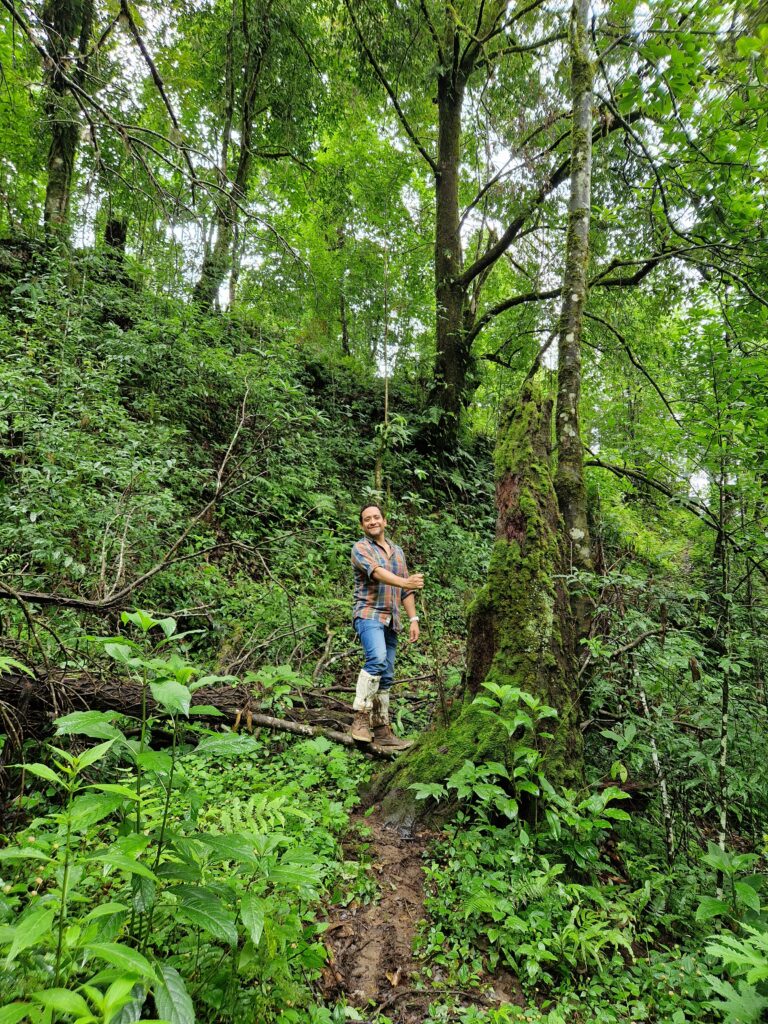 Person standing in green slope