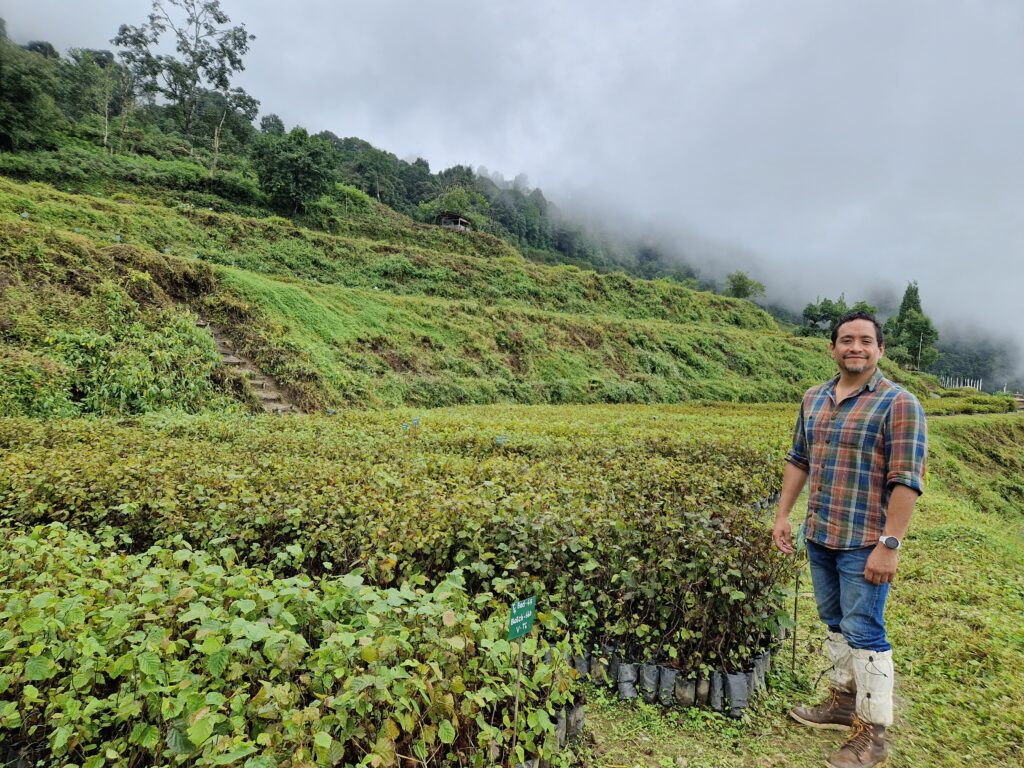 Person standing in green landscape