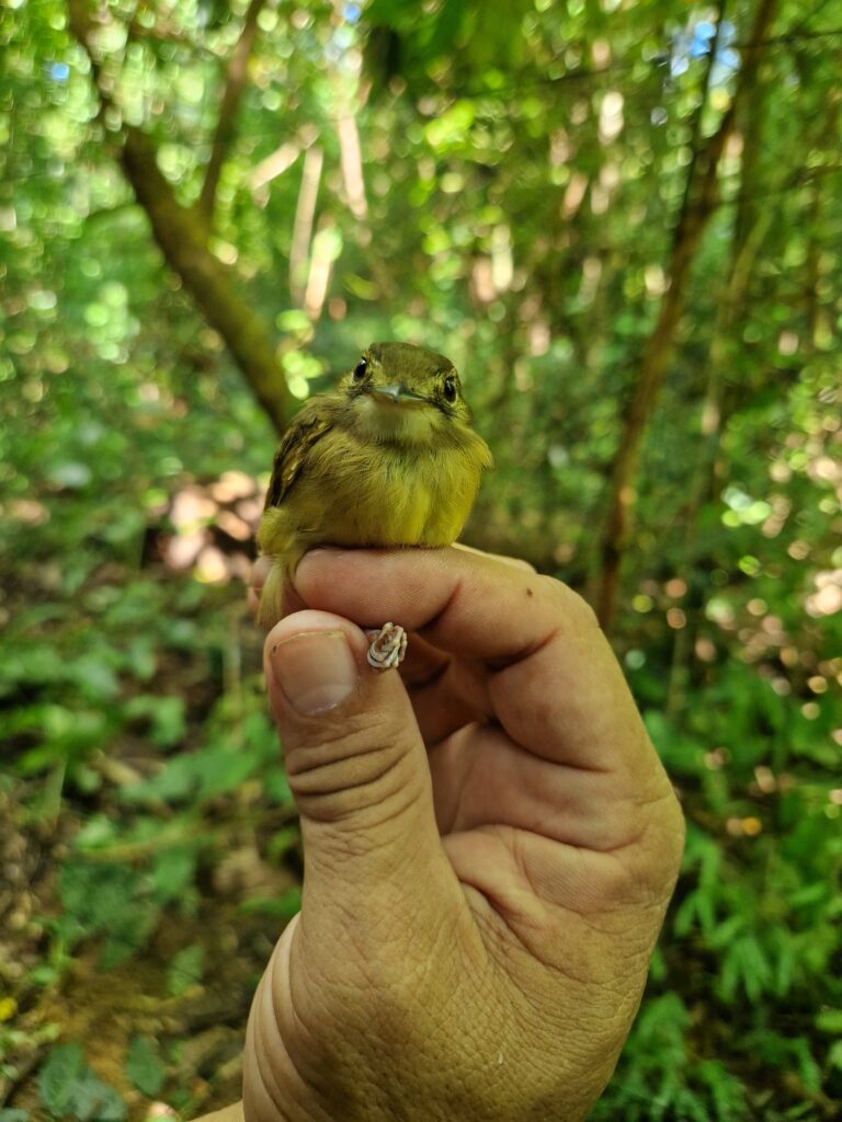 A person holding a bird